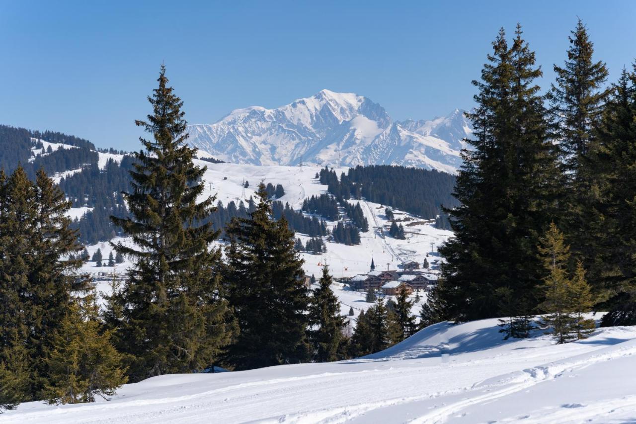 Les Saisies Appart 1 Chambre Au Pied Des Pistes Luaran gambar