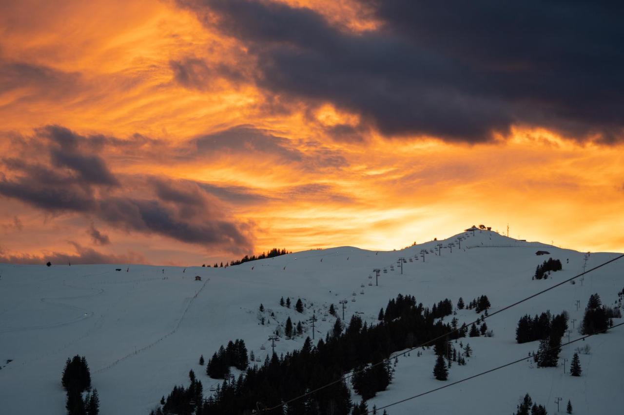 Les Saisies Appart 1 Chambre Au Pied Des Pistes Luaran gambar