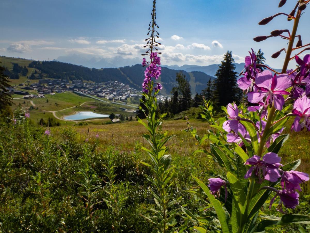 Les Saisies Appart 1 Chambre Au Pied Des Pistes Luaran gambar
