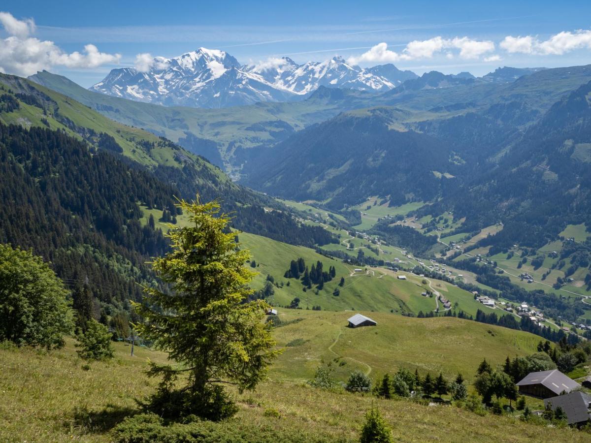 Les Saisies Appart 1 Chambre Au Pied Des Pistes Luaran gambar