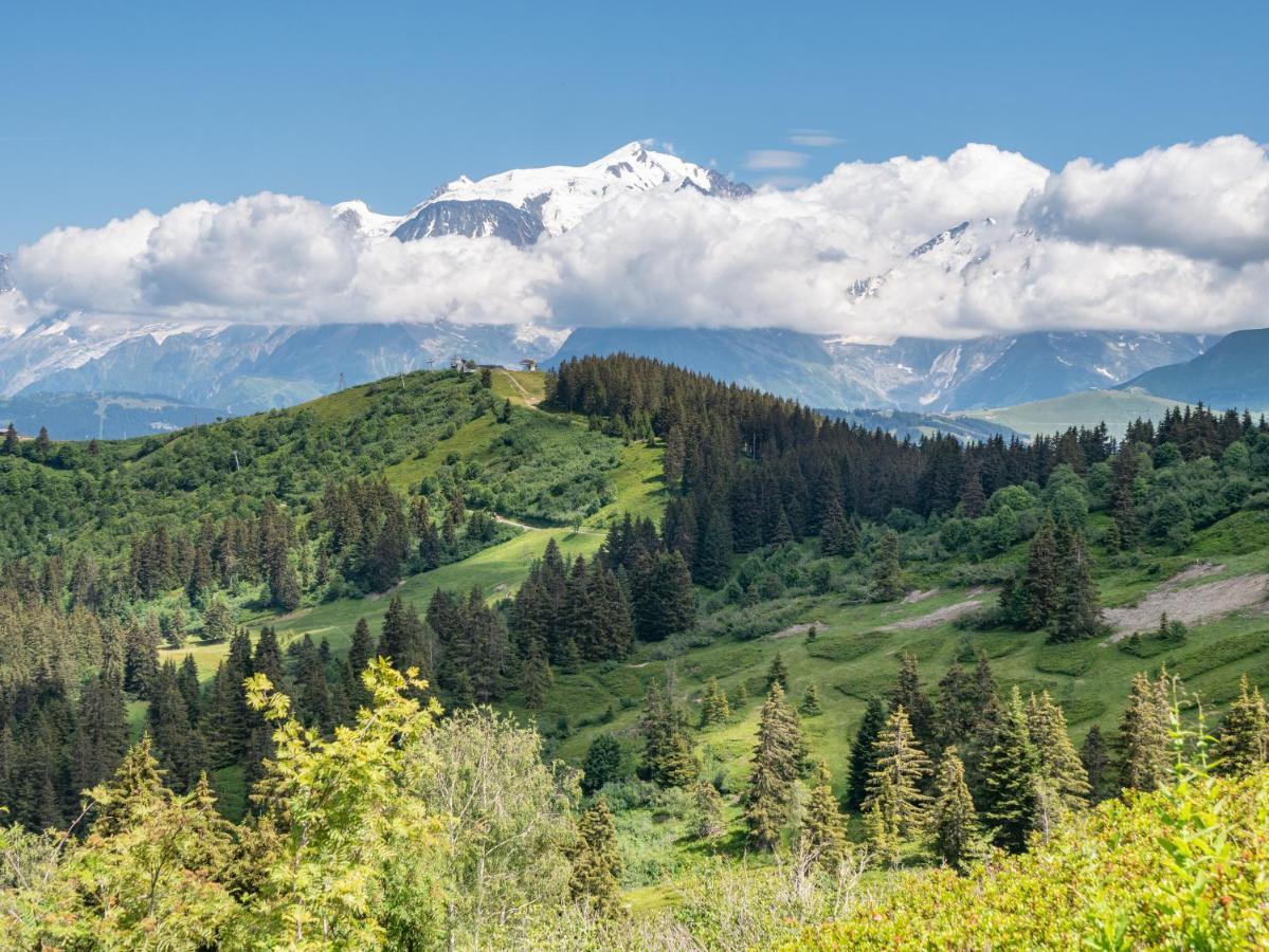 Les Saisies Appart 1 Chambre Au Pied Des Pistes Luaran gambar